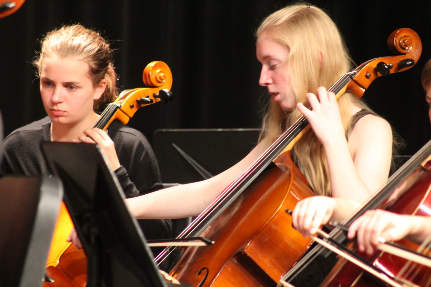 BD Orchestras spring concert 2019 013.JPG